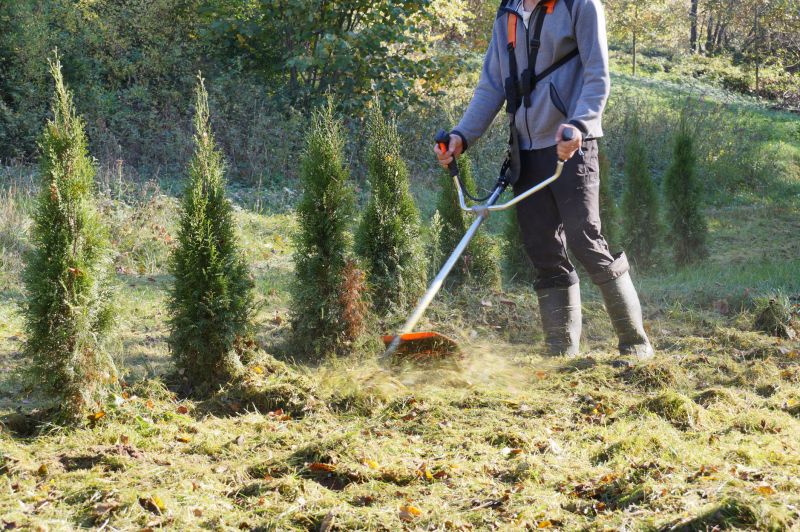 Brush Mowing Service in Duluth, MN