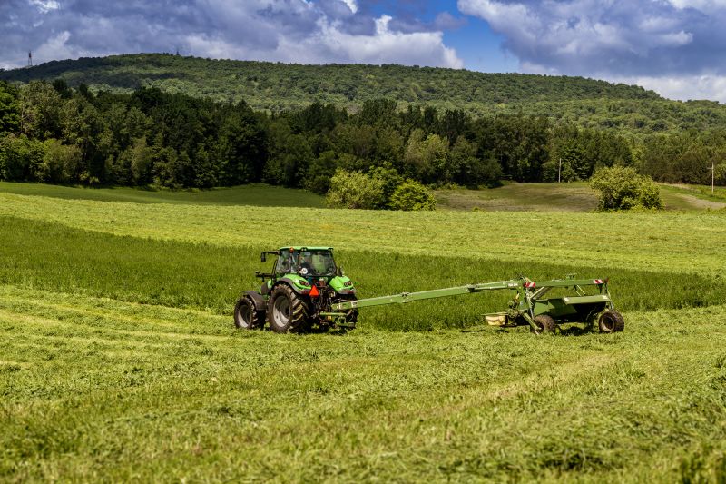 Field Brush Hogging