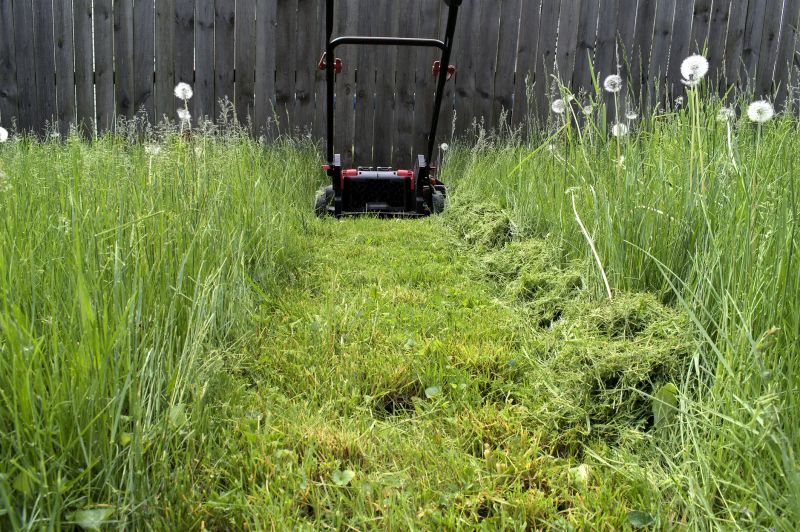 Brush Mowing Service in Duluth, MN