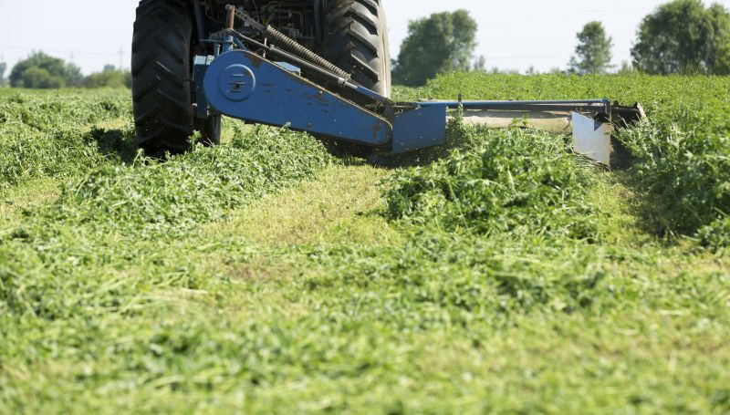 Brush Mowing Service in Duluth, MN