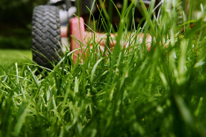Brush Mowing Service in Calvert County, MD