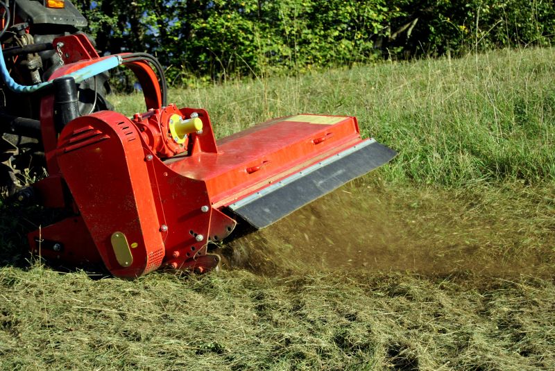 Vegetation Removal Process