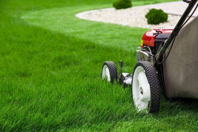 Fall Lawn Care in Bowie, MD