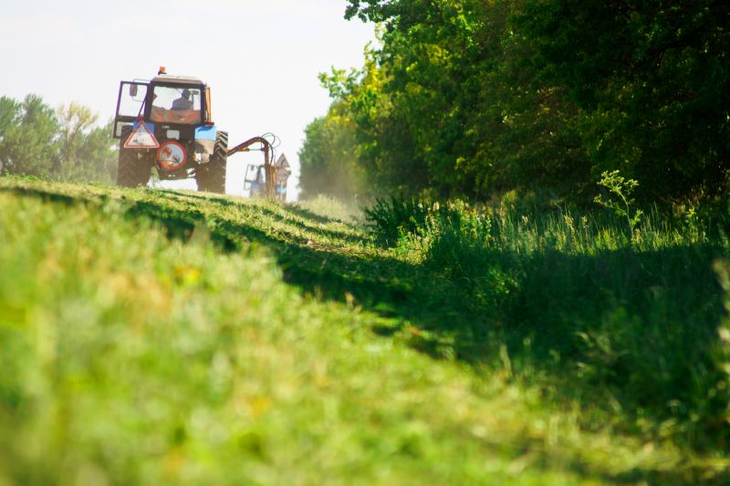 Field Brush Hogging