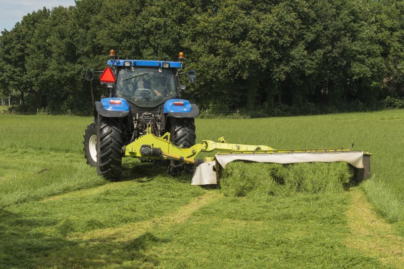 Field Brush Hogging