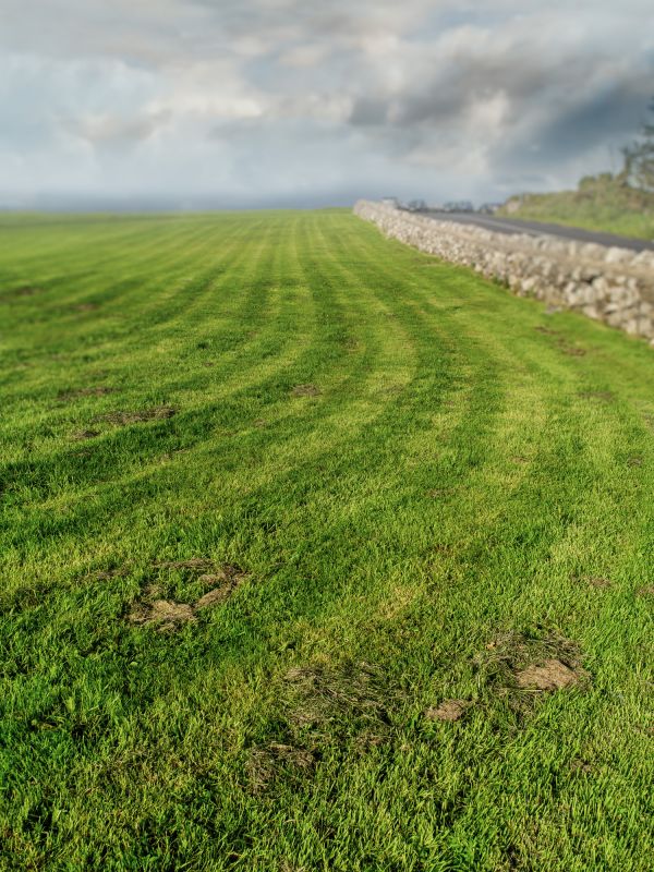 Mowed Field Landscape