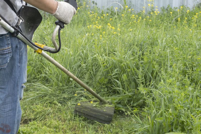 Grass Cutting Service in Bowie, MD