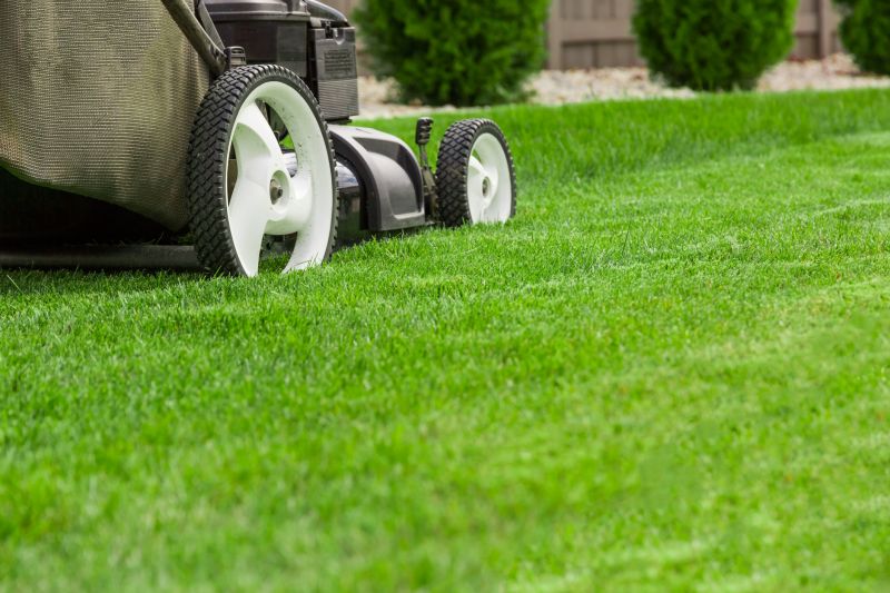 Lawn Trimming in Bowie, MD