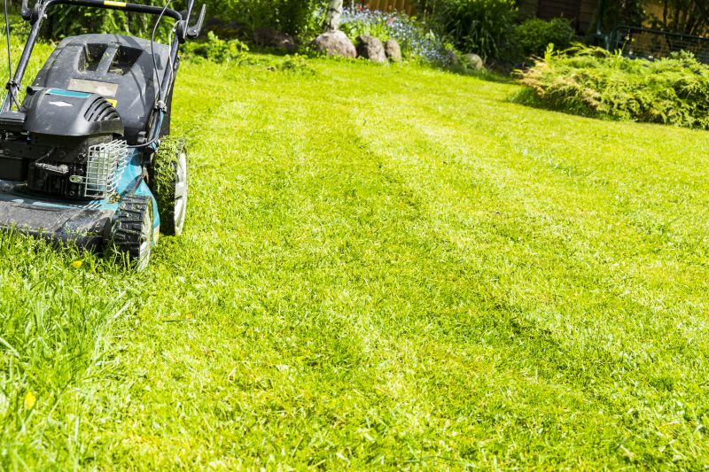 Meadow Mowing in Waldorf, MD