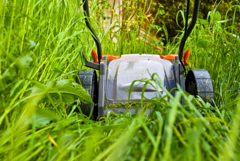 Yard Mowing in Bowie, MD