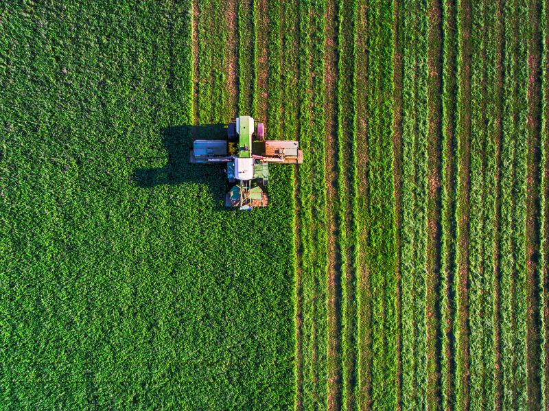 Safety and Risk Reduction